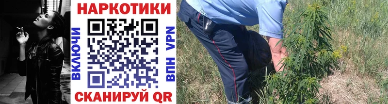 Где купить наркотики Болхов Псилоцибиновые грибы МЕТАМФЕТАМИН Меф Канабис Кетамин АМФ