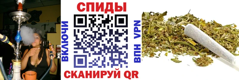 Бутират BDO 33%  мориарти телеграм  Болхов  OMG зеркало 