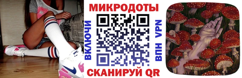 Псилоцибиновые грибы Cubensis Болхов